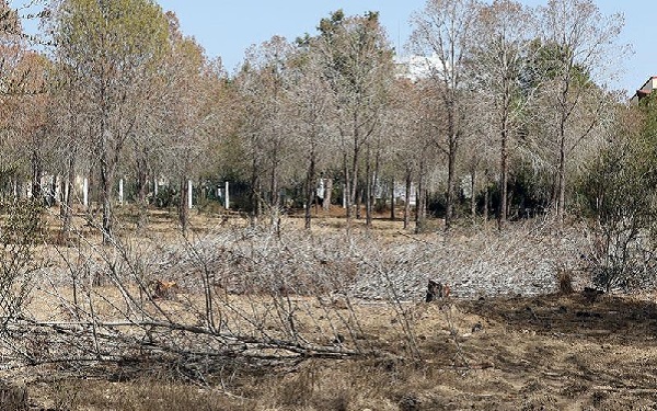 Για το πάρκο Ακαδημίας κρούουμε τον κώδωνα