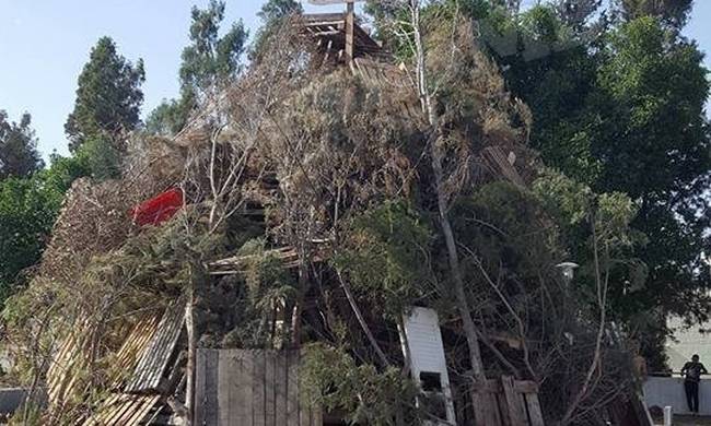 Στόχος τους οτιδήποτε μπορεί να καεί στις λαμπρατζιές