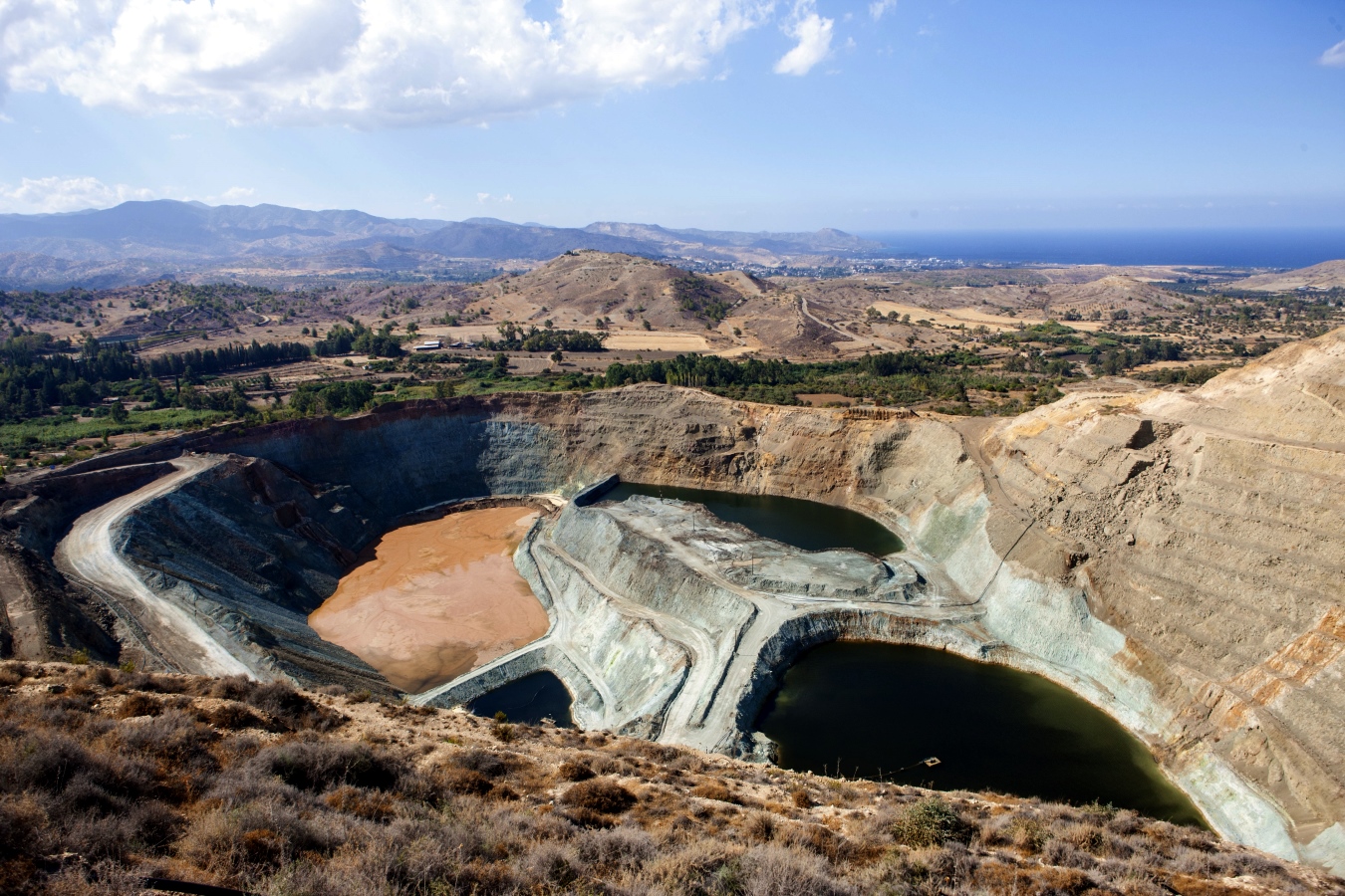 ΣΟΛΙΑ: Όχι άλλα επικίνδυνα δηλητήρια