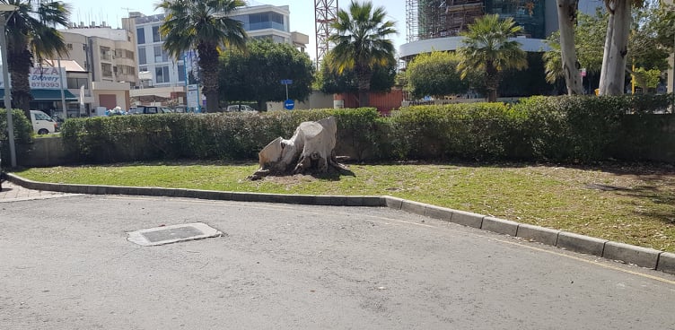 Καλημέρα κ. Δήμαρχε Στροβόλου